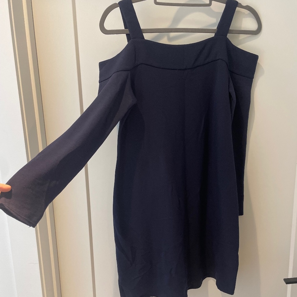 Bailey/44 dress